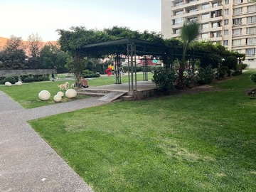 Imagen 8
