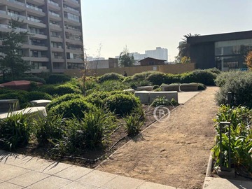 Imagen 21