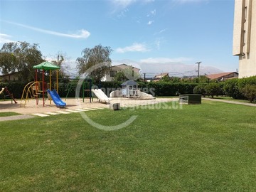 Imagen 12