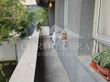 Imagen 10