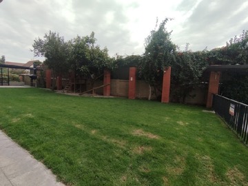Imagen 28