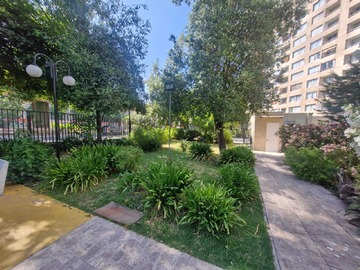 Arriendo Mensual / Departamento / Macul