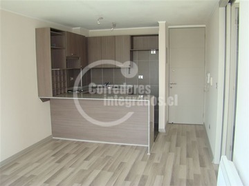 Arriendo Mensual / Departamento / Macul