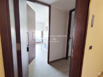 Arriendo Mensual / Departamento / Macul