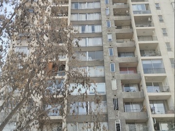Arriendo Mensual / Departamento / Macul