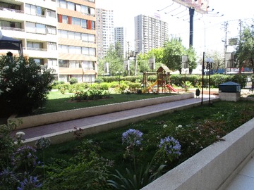 Imagen 13