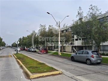 Imagen 19