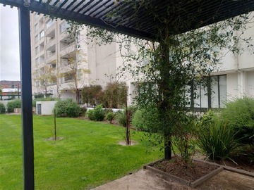 Imagen 26