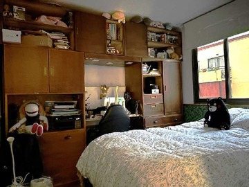 Imagen 14