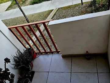 Imagen 12