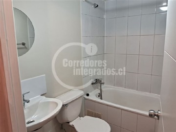 Imagen 14