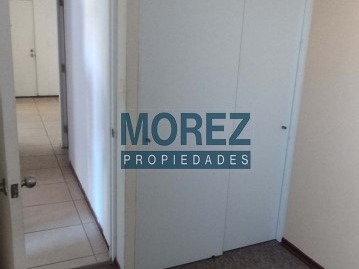 Imagen 10