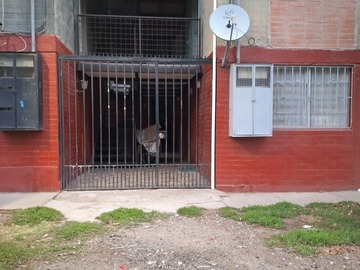 Arriendo Mensual / Departamento / Maipú