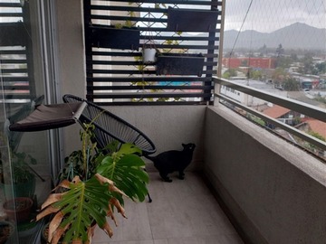 Imagen 12