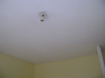 Imagen 11
