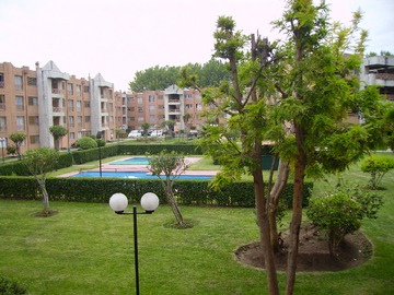 Imagen 19