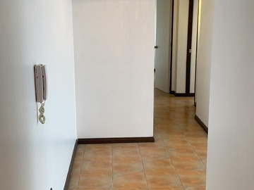 Imagen 13