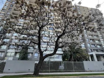 Imagen 15