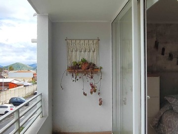 Imagen 11
