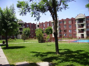 Imagen 20