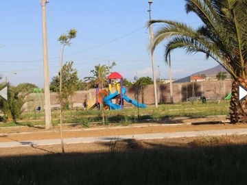 Imagen 12