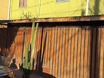 Arriendo Mensual / Departamento / Melipilla