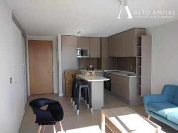 Arriendo Mensual / Departamento / Ñuñoa