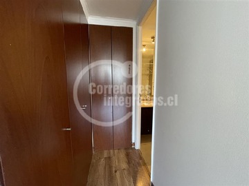 Imagen 14