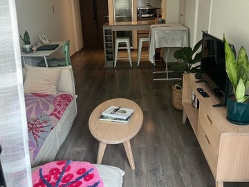 Arriendo Mensual / Departamento / Ñuñoa
