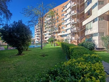 Imagen 13