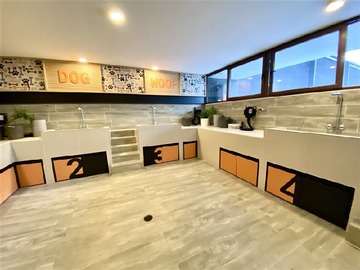 Imagen 15