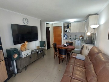 Imagen 5