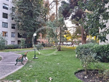 Imagen 29