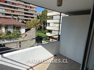 Imagen 5