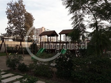 Imagen 13