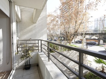 Imagen 5