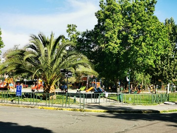 Imagen 19