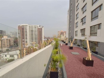 Imagen 15