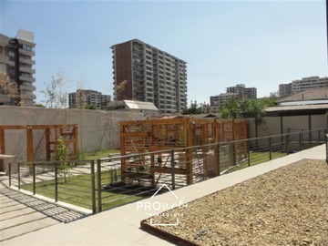 Imagen 19