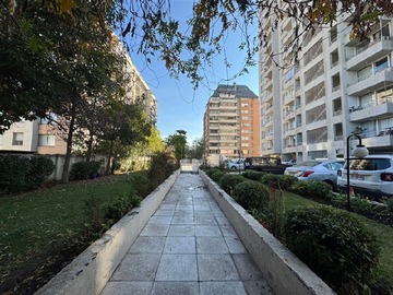 Imagen 22