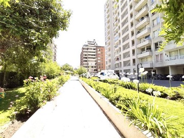 Imagen 23
