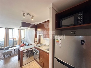 Arriendo Mensual / Departamento / Ñuñoa