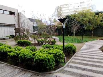 Imagen 22