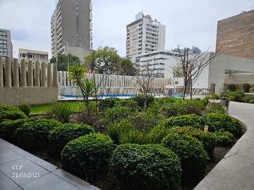 Imagen 8