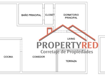 Imagen 20
