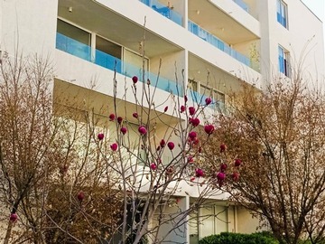 Arriendo Mensual / Departamento / Ñuñoa