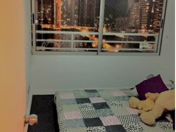 Imagen 5