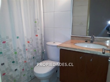 Imagen 11