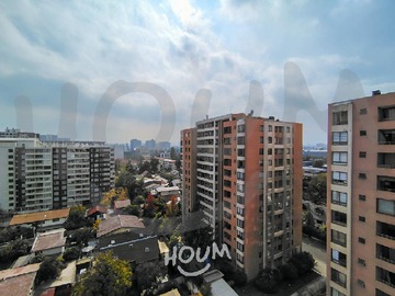 Imagen 5