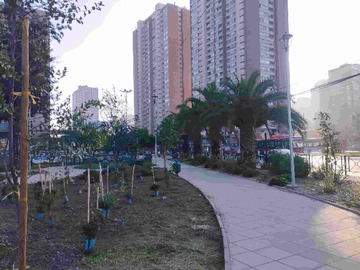 Imagen 12